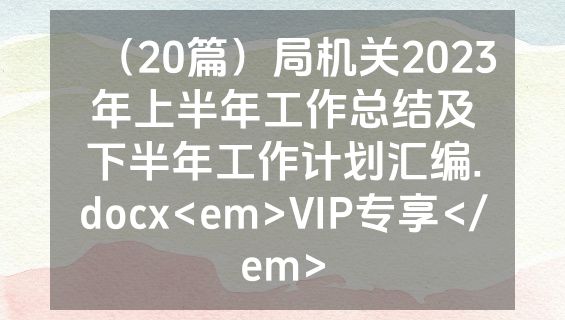 （20篇）局机关2023年上半年工作总结及下半年工作计划汇编.docx<em>VIP专享</em>