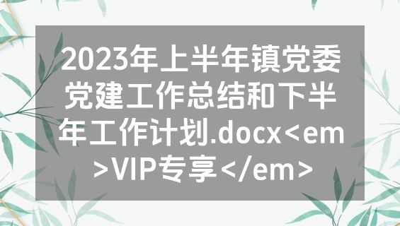 2023年上半年镇党委党建工作总结和下半年工作计划.docx<em>VIP专享</em>