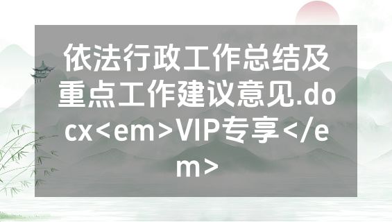 依法行政工作总结及重点工作建议意见.docx<em>VIP专享</em>