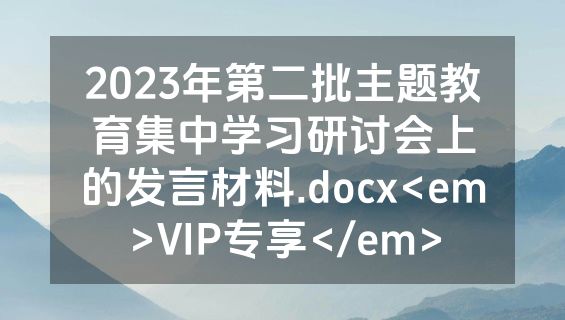 2023年第二批主题教育集中学习研讨会上的发言材料.docx<em>VIP专享</em>