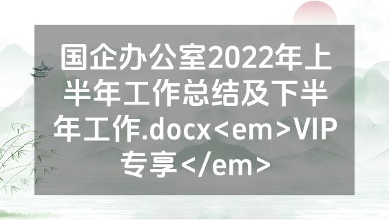 国企办公室2022年上半年工作总结及下半年工作.docx<em>VIP专享</em>