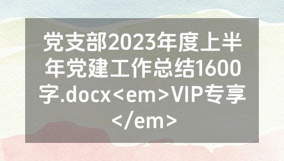 党支部2023年度上半年党建工作总结1600字.docx<em>VIP专享</em>