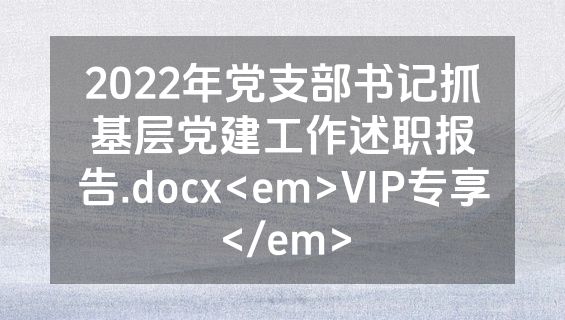 2022年党支部书记抓基层党建工作述职报告.docx<em>VIP专享</em>