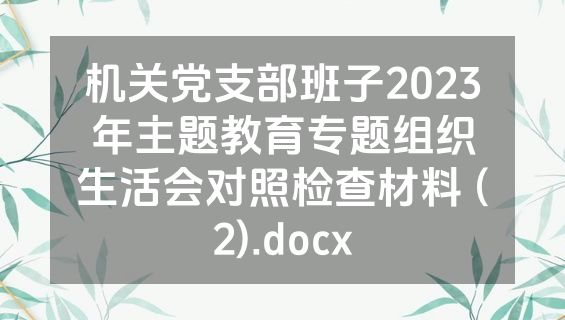 机关党支部班子2023年主题教育专题组织生活会对照检查材料 (2).docx