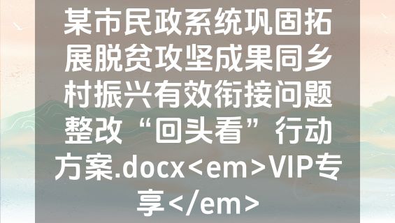 某市民政系统巩固拓展脱贫攻坚成果同乡村振兴有效衔接问题整改“回头看”行动方案.docx<em>VIP专享</em>