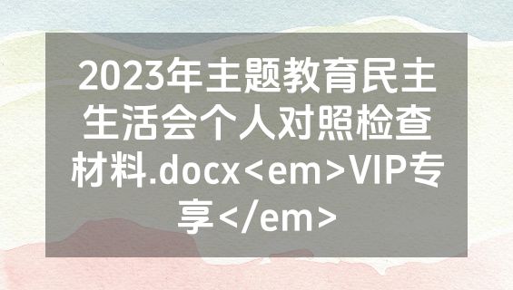 2023年主题教育民主生活会个人对照检查材料.docx<em>VIP专享</em>