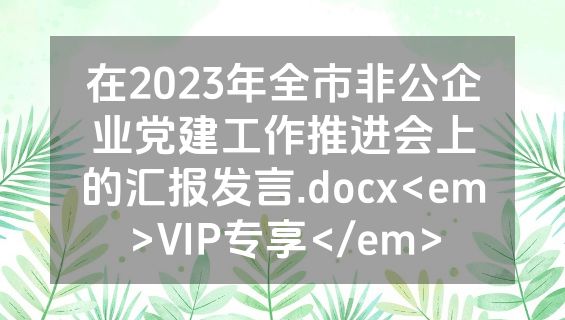 在2023年全市非公企业党建工作推进会上的汇报发言.docx<em>VIP专享</em>