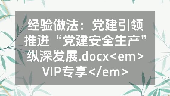 经验做法：党建引领推进“党建安全生产”纵深发展.docx<em>VIP专享</em>