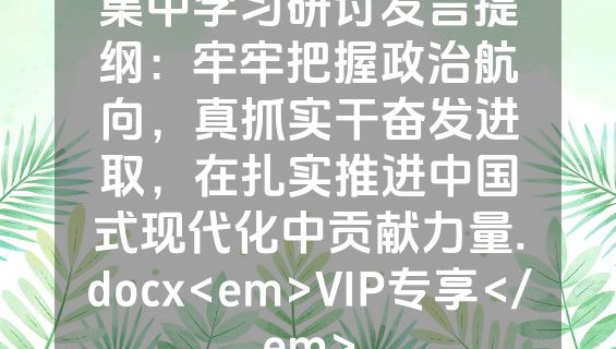 集中学习研讨发言提纲：牢牢把握政治航向，真抓实干奋发进取，在扎实推进中国式现代化中贡献力量.docx<em>VIP专享</em>