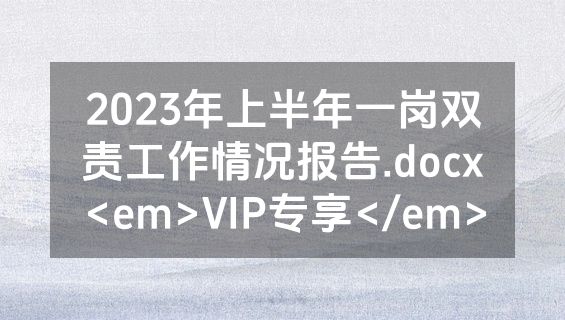 2023年上半年一岗双责工作情况报告.docx<em>VIP专享</em>