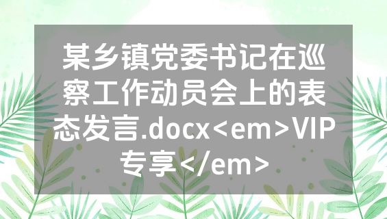 某乡镇党委书记在巡察工作动员会上的表态发言.docx<em>VIP专享</em>
