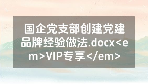 国企党支部创建党建品牌经验做法.docx<em>VIP专享</em>