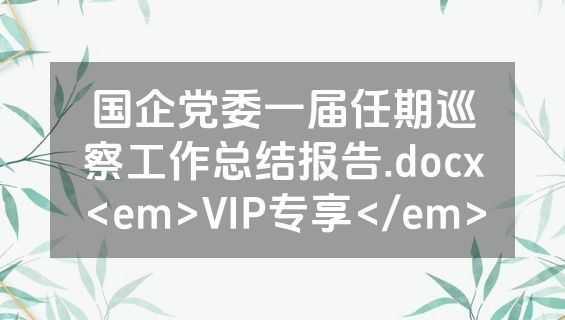 国企党委一届任期巡察工作总结报告.docx<em>VIP专享</em>