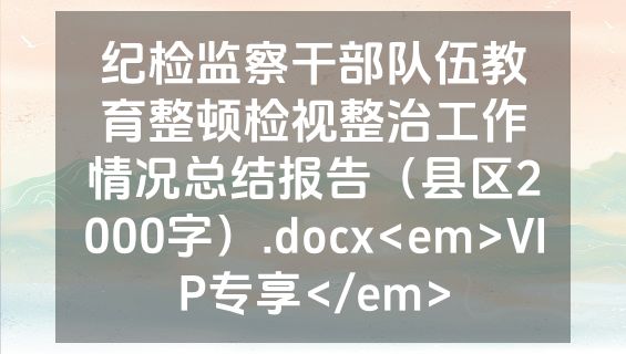 纪检监察干部队伍教育整顿检视整治工作情况总结报告（县区2000字）.docx<em>VIP专享</em>