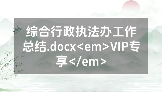 综合行政执法办工作总结.docx<em>VIP专享</em>