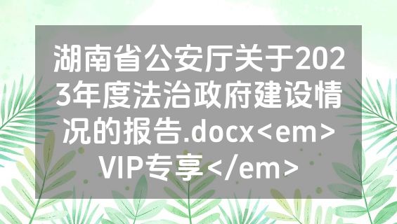 湖南省公安厅关于2023年度法治政府建设情况的报告.docx<em>VIP专享</em>