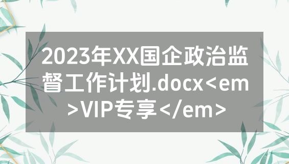 2023年XX国企政治监督工作计划.docx<em>VIP专享</em>