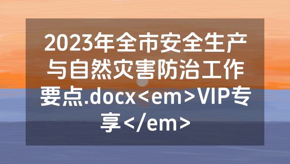 2023年全市安全生产与自然灾害防治工作要点.docx<em>VIP专享</em>