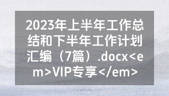 2023年上半年工作总结和下半年工作计划汇编（7篇）.docx<em>VIP专享</em>