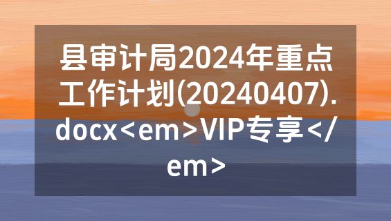 县审计局2024年重点工作计划(20240407).docx<em>VIP专享</em>