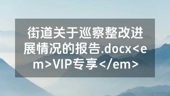 街道关于巡察整改进展情况的报告.docx<em>VIP专享</em>