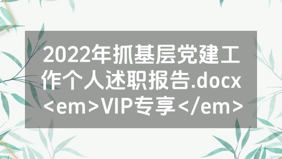 2022年抓基层党建工作个人述职报告.docx<em>VIP专享</em>