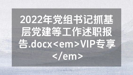 2022年党组书记抓基层党建等工作述职报告.docx<em>VIP专享</em>