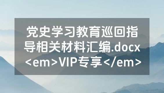 党史学习教育巡回指导相关材料汇编.docx<em>VIP专享</em>
