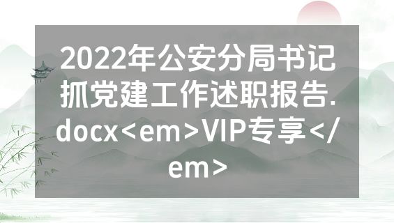 2022年公安分局书记抓党建工作述职报告.docx<em>VIP专享</em>