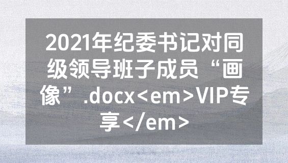 2021年纪委书记对同级领导班子成员“画像”.docx<em>VIP专享</em>