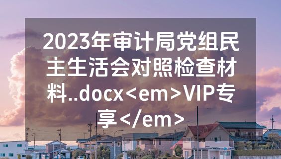 2023年审计局党组民主生活会对照检查材料..docx<em>VIP专享</em>