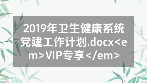 2019年卫生健康系统党建工作计划.docx<em>VIP专享</em>
