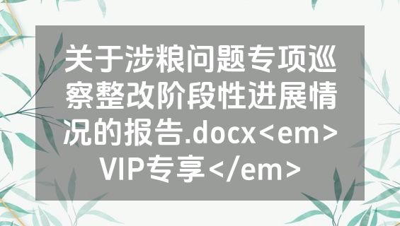 关于涉粮问题专项巡察整改阶段性进展情况的报告.docx<em>VIP专享</em>