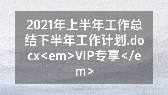 2021年上半年工作总结下半年工作计划.docx<em>VIP专享</em>