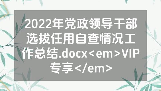 2022年党政领导干部选拔任用自查情况工作总结.docx<em>VIP专享</em>
