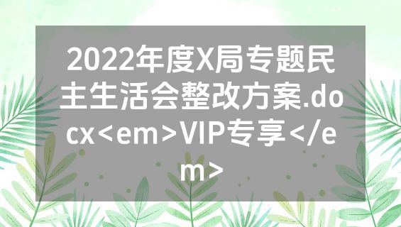 2022年度X局专题民主生活会整改方案.docx<em>VIP专享</em>