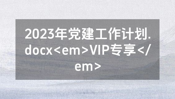 2023年党建工作计划.docx<em>VIP专享</em>