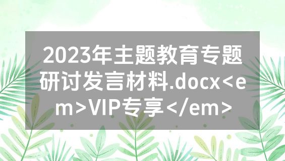 2023年主题教育专题研讨发言材料.docx<em>VIP专享</em>