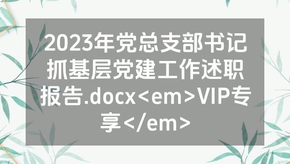 2023年党总支部书记抓基层党建工作述职报告.docx<em>VIP专享</em>