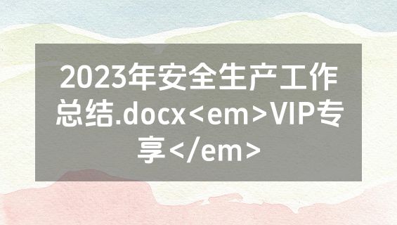 2023年安全生产工作总结.docx<em>VIP专享</em>