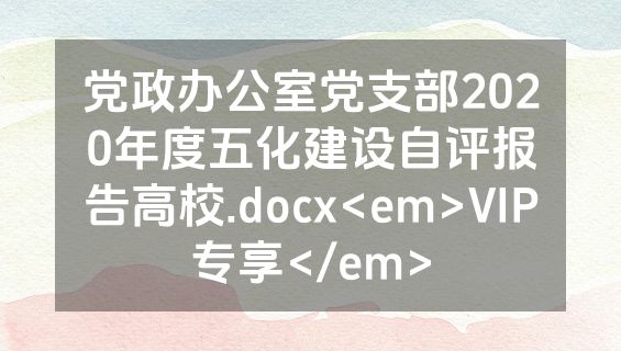 党政办公室党支部2020年度五化建设自评报告高校.docx<em>VIP专享</em>