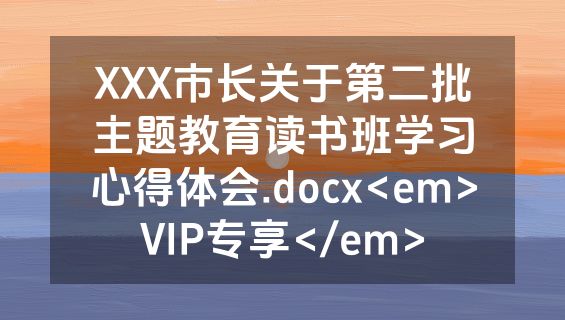 XXX市长关于第二批主题教育读书班学习心得体会.docx<em>VIP专享</em>
