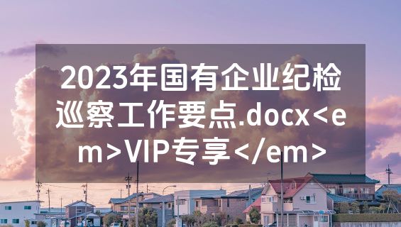 2023年国有企业纪检巡察工作要点.docx<em>VIP专享</em>