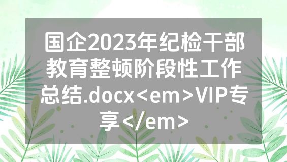 国企2023年纪检干部教育整顿阶段性工作总结.docx<em>VIP专享</em>