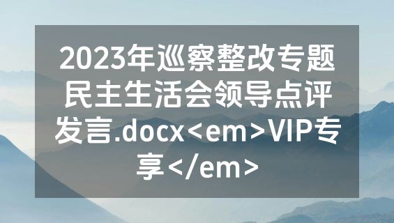 2023年巡察整改专题民主生活会领导点评发言.docx<em>VIP专享</em>