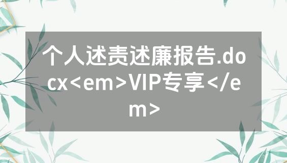 个人述责述廉报告.docx<em>VIP专享</em>