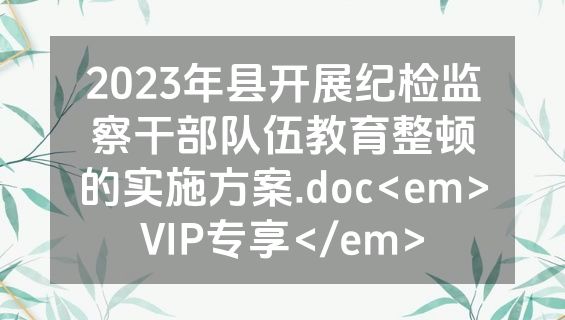 2023年县开展纪检监察干部队伍教育整顿的实施方案.doc<em>VIP专享</em>