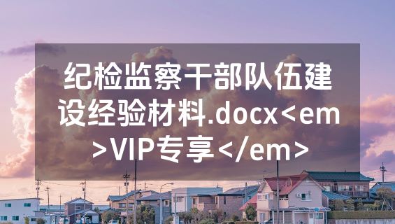 纪检监察干部队伍建设经验材料.docx<em>VIP专享</em>