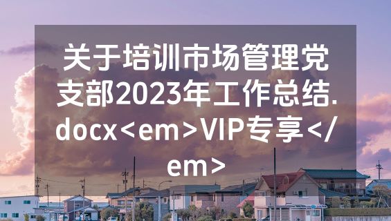 关于培训市场管理党支部2023年工作总结.docx<em>VIP专享</em>