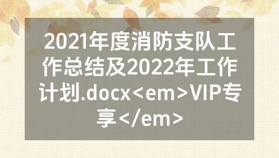 2021年度消防支队工作总结及2022年工作计划.docx<em>VIP专享</em>